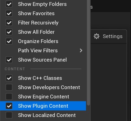 Show Plugin Content option.